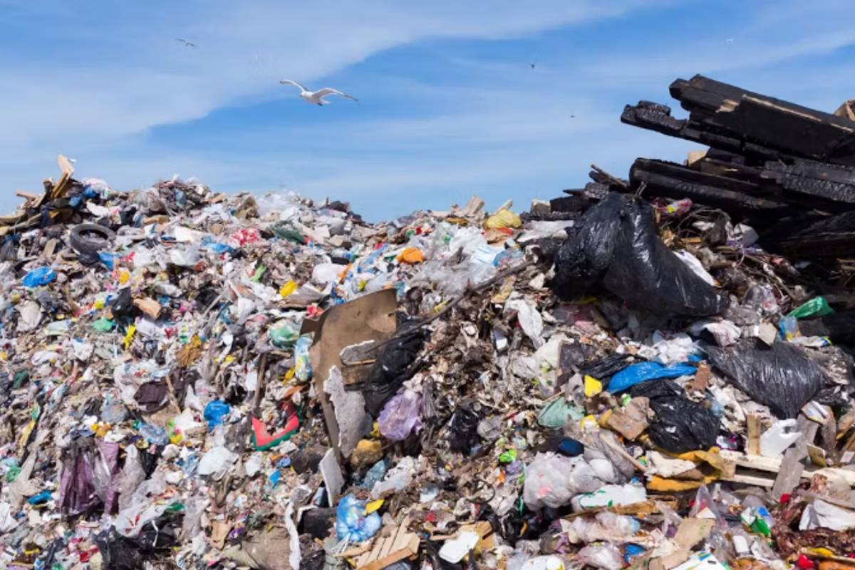 ¿Cómo podemos medir la sostenibilidad ambiental?