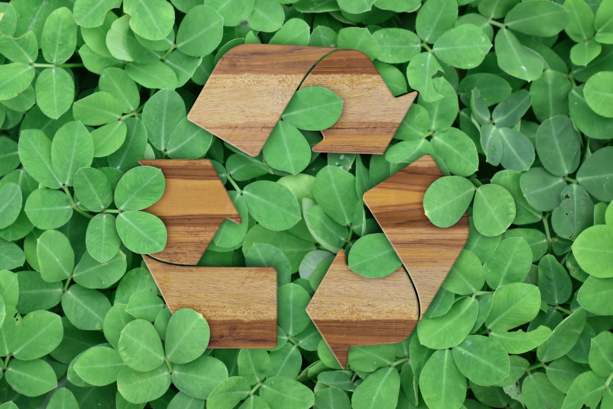 Construcción Sostenible con Madera Ecológica: La Apuesta Inteligente con Construplast