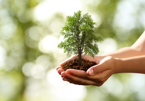 Beneficios ambientales de construir con madera plástica reciclada