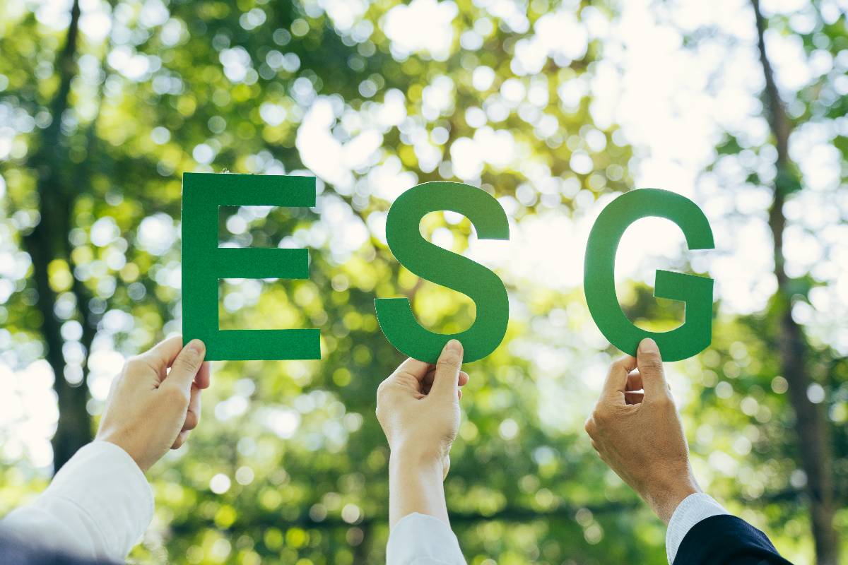 Cómo la madera plástica ayuda a cumplir políticas ESG