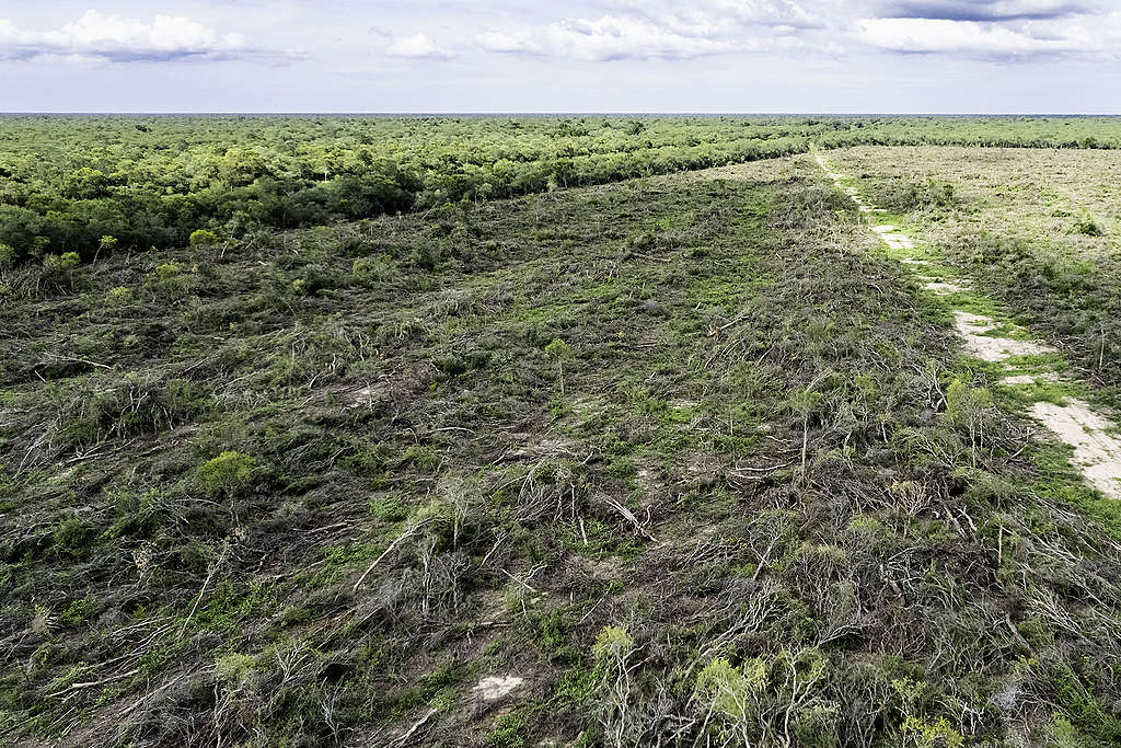 construplast1206-5_1